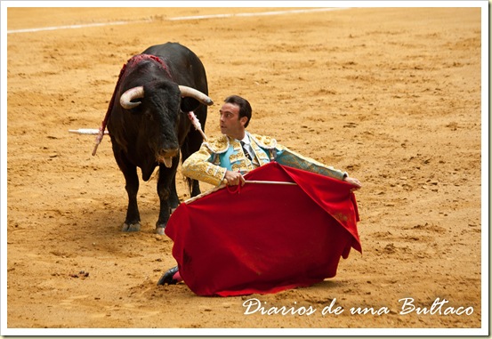 Toros_León-9