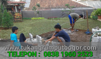 www.tukangrumputbogor.com