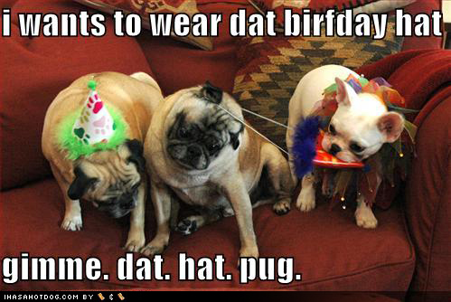 funny birthday wishes for a friend. Funny birthday quotes search results 