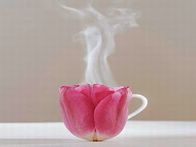 rose-tea-picture