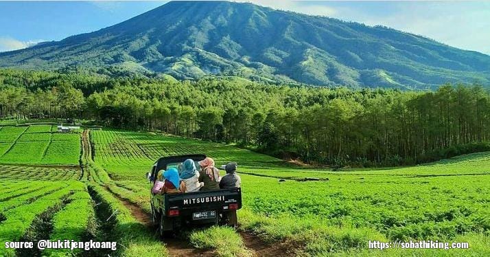 di Bukit Jengkoang ini sobat dapat loh merasakan sensasi berkemah di kawasan lahan perkebunan denga altitude +1200 mdpl, dinilai dari keindahan dan pengelolaan wisatanya, Bukit Jengkoang ini menjadi salah satu tempat berkemah terbaik di Batu.