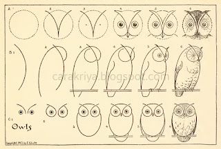 Langkah-langkah-menggambar-burung-hantu-owl