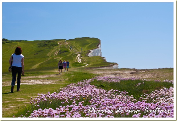 Seaford-4