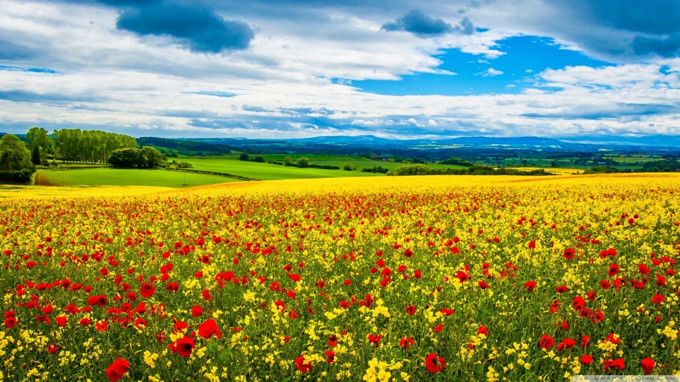 Fond Ecran Pc Meilleurs Fonds Décrans Paysages Et Fleurs