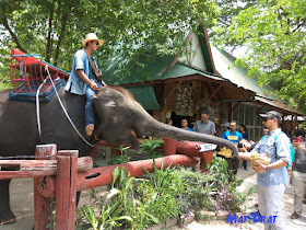 Elephant Village Damnoen Saduak Housing