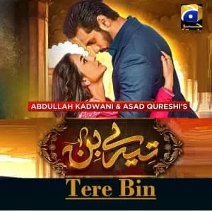 Tere Bin Episode 30