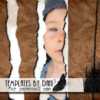 http://danis-scrappingwahn.blogspot.com/2009/07/crack-templates-freebie.html