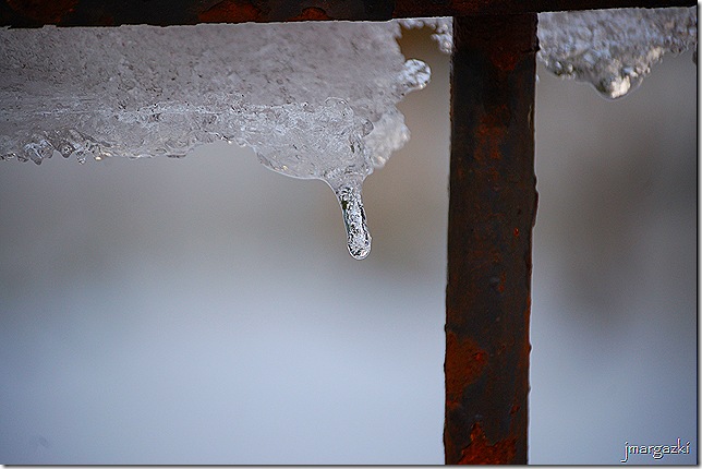 DSC_01020001