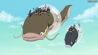 ワンピースアニメ 魚人島編 563話 | ONE PIECE Episode 563