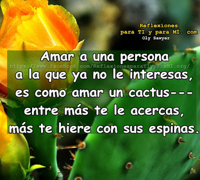 Amar a una persona a la que ya no le interesas, es como amar un cactus.... entre más te le acercas más te hiere con sus espinas.