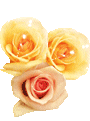 Gif de flor