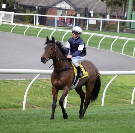 race5_almandin 2 race5_almandin 2
