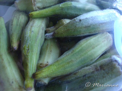 Okra