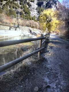 View of River and the trail