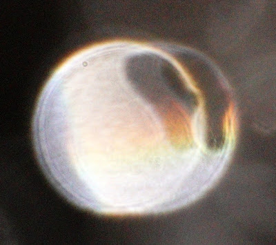 see-through orb hole,