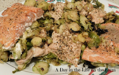 Garlic Roasted Salmon with Brussels Sprouts
