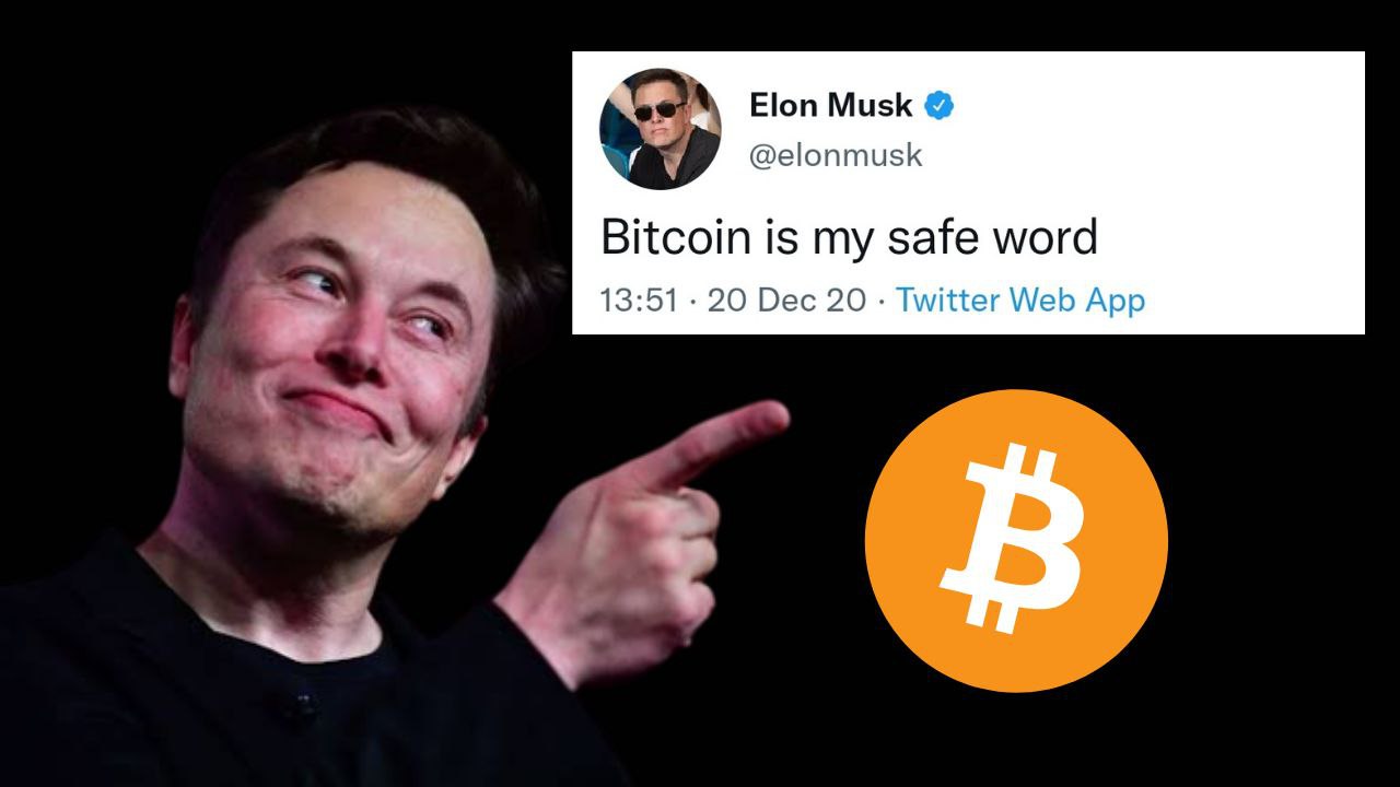 Elon musk bitcoin tweets