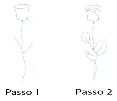 Corso Di Grafica E Disegno Per Imparare A Disegnare