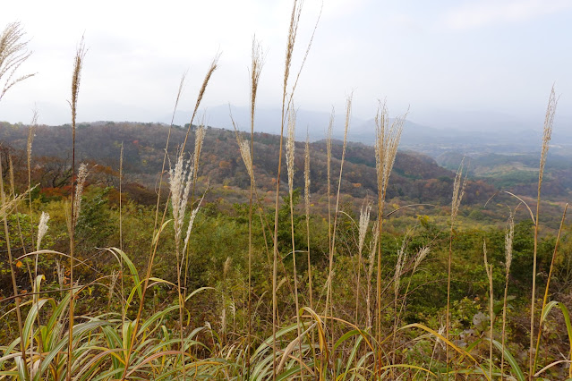 鳥取県西伯郡大山町大山　横手道からの眺望