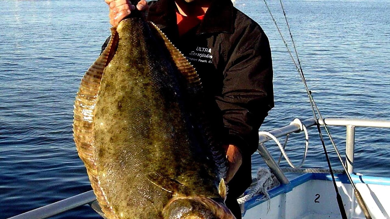 Lawsuit accuses Big Fish of baiting customers into signing up for 'free ...