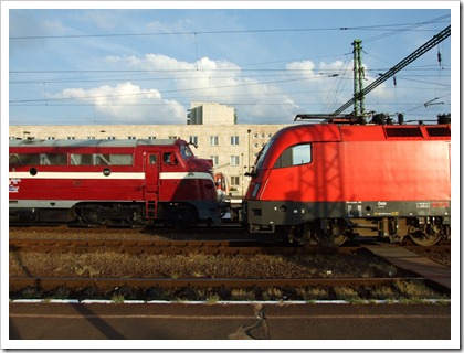 DSCF7019