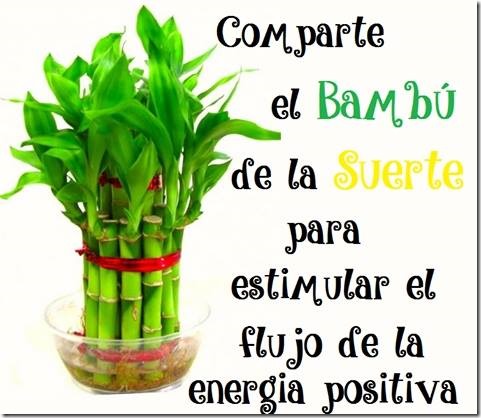suerte 