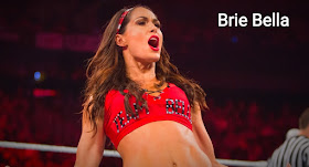 30 best wwe female wrestler in the world.