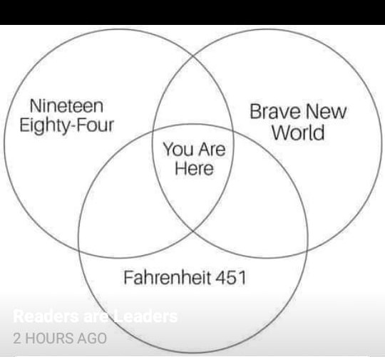 Venn Book Diagram