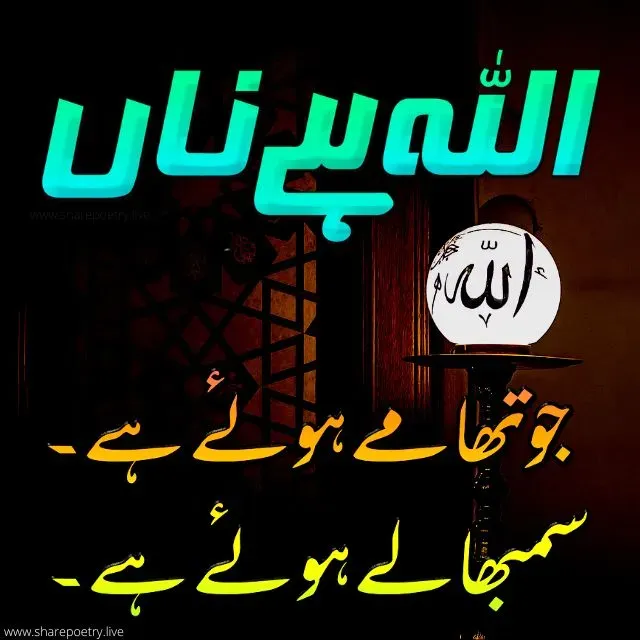 Allah Hai Na - islamic One Line Quote Urdu 2024