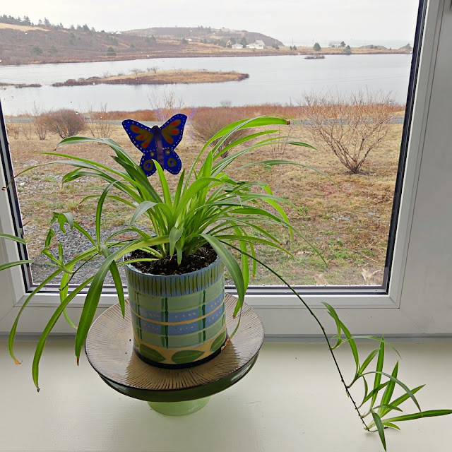 Hand Painted Tin Planters with plant sticks by Minaz Jantz