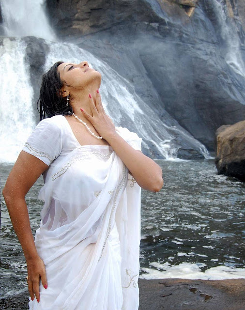 Actress Keerthi Chawla Hot Wet White Saree Photos