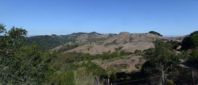 panorama of the park
