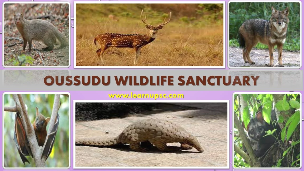 Oussudu Wildlife Sanctuary