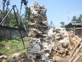 Batu suiseki Hiasan Taman rumah dan perkantoran