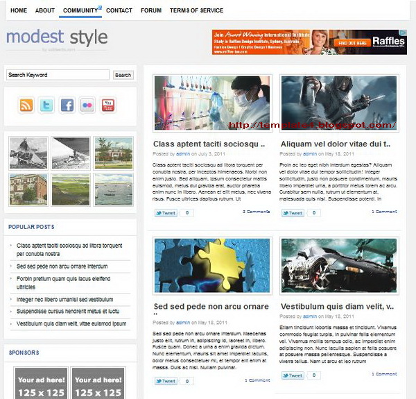 Modest WordPress Theme