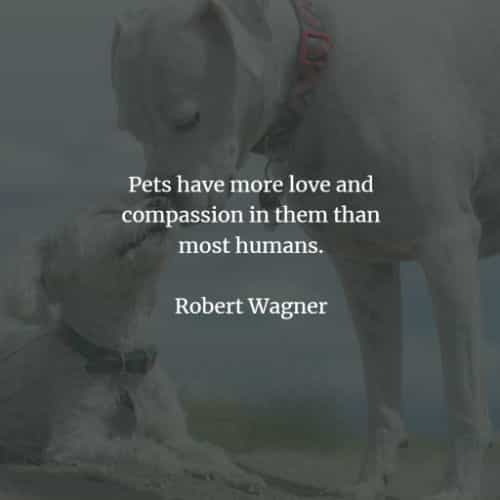 40 Pet Quotes And Sayings That Inspire A Love For Animals