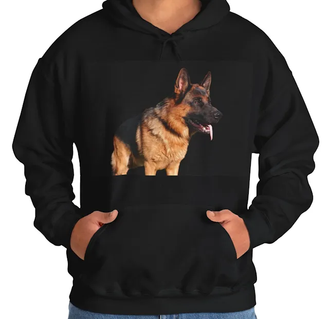 A Hoodie With Huge West Show Line Red and Black German Shepherd Leaving Tongue Out Standing for a Pose
