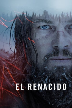 Revenant: El Renacido 1080p español latino 2015