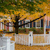 Fall at Home [Through my Lens Nr. 113]