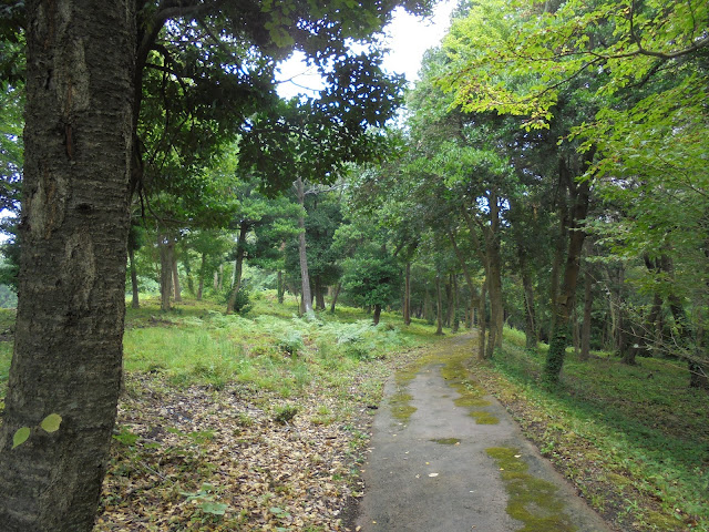 弥生の森の遊歩道