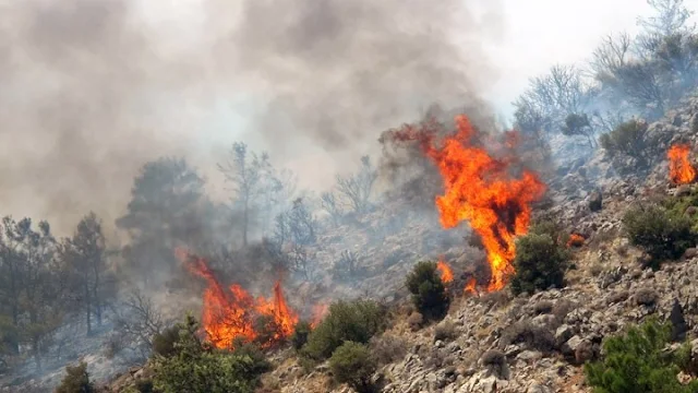 Στο κόκκινο η Αργολίδα για πυρκαγιές την Τετάρτη 29 Ιουλίου