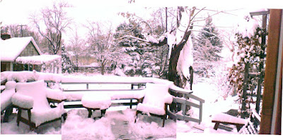 composite photo of my grandparents' backyard, very snowcovered