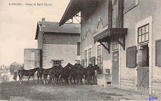 pays basque autrefois haras