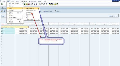 Financial Statement Analysis in FICO