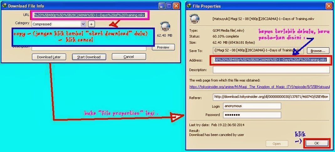 Cara Melanjutkan/Resume Download File Karena Server Error Pada Internet Download Manager