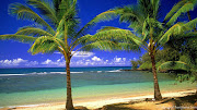 Beautiful Beach Wallpaper HD