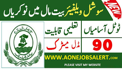 Social Welfare and Bait ul Maal Punjab Jobs 2023