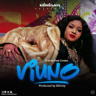 AUDIO | Shilole ft G nako – VIUNO (Mp3) Download