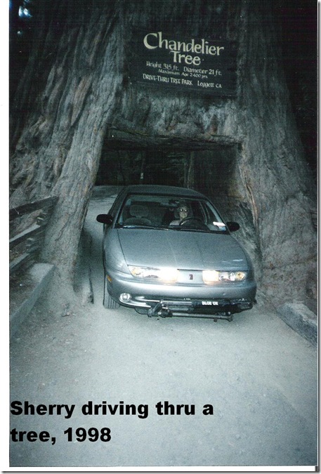 scan1998 020 - Copy