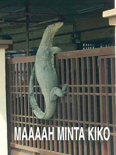  di artikel kali ini saya akan membagikan kumpulan foto meme biawak yang sempat viral di t √ 30+ Kumpulan Foto Meme Biawak Viral 2019